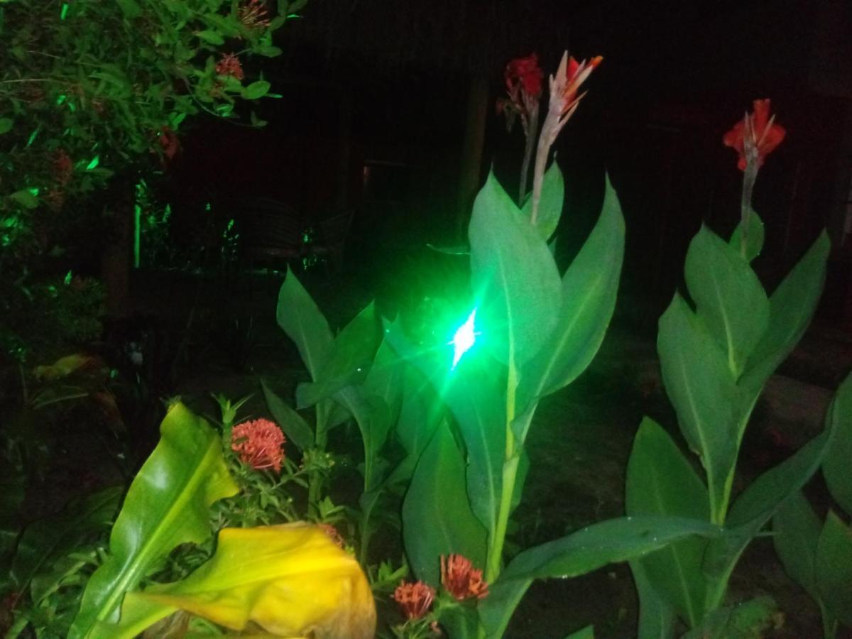 Pousada Luar De Monte Cristo Araripe de Baixo Exteriör bild